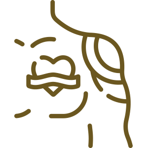takemi_icono2