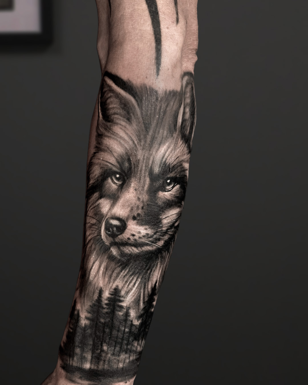 Takemi Tattoo |  Solo Bost | Trabajos